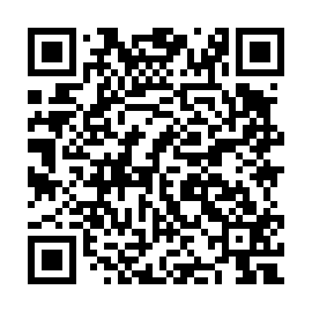 QR code for NJI413
