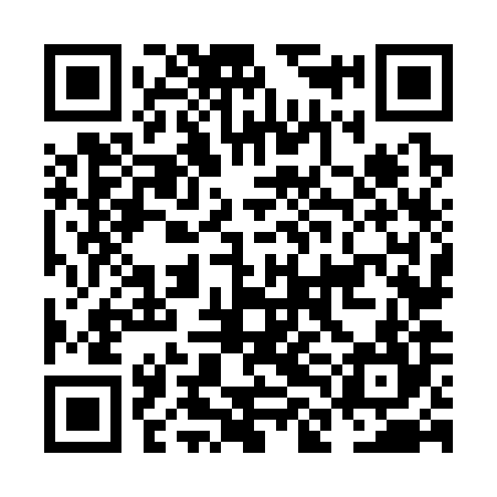 QR code for NLN384