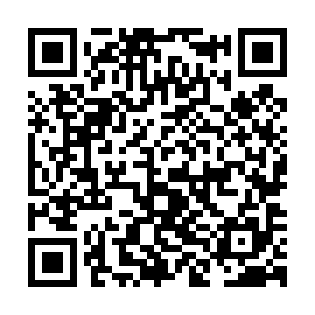 QR code for NLN495