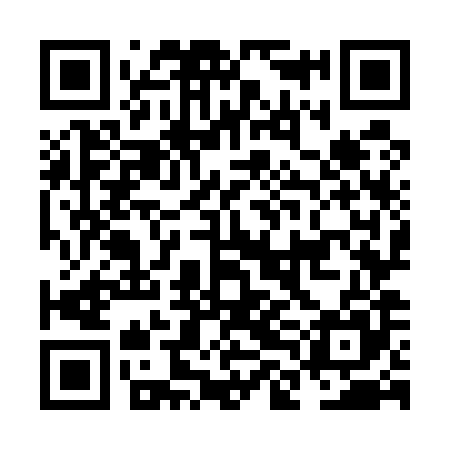 QR code for NLO585