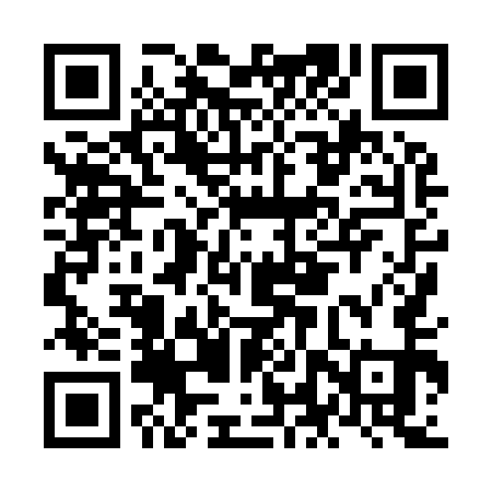 QR code for NLX951