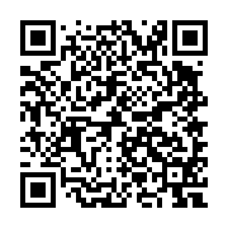 QR code for NME494