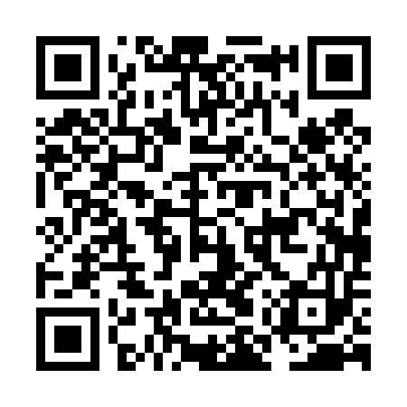 QR code for NMP453