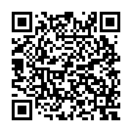 QR code for NMS385
