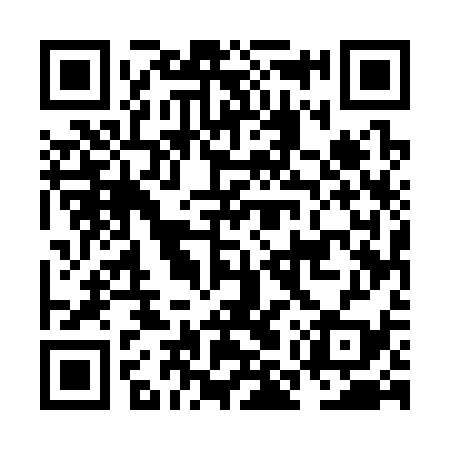 QR code for NMU339