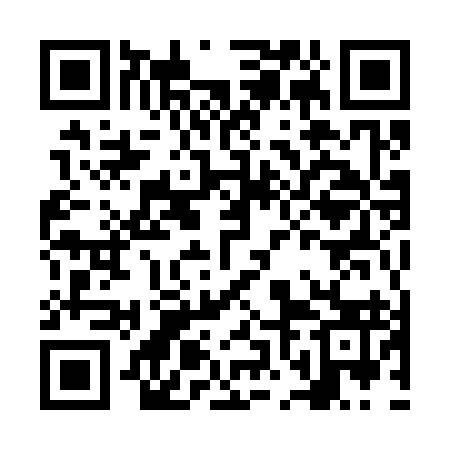 QR code for NNM393
