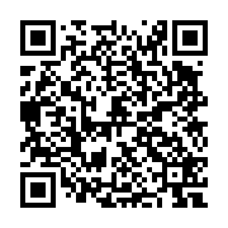 QR code for NNS429