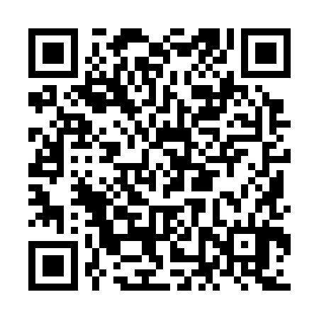 QR code for NNY384