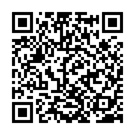 QR code for NOC919