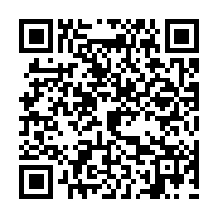 QR code for NOI383