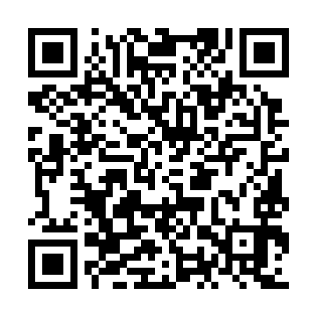 QR code for NOU393