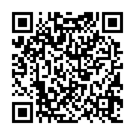 QR code for NPE336