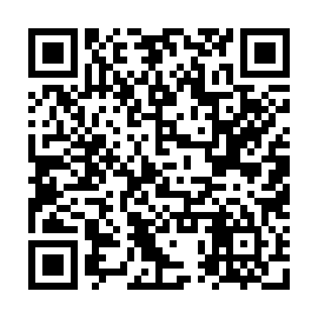 QR code for NPU385