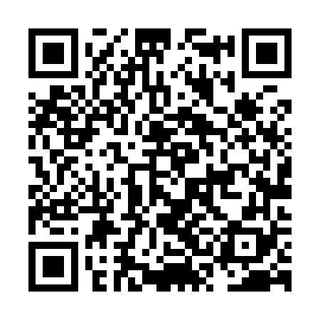 QR code for NSL968