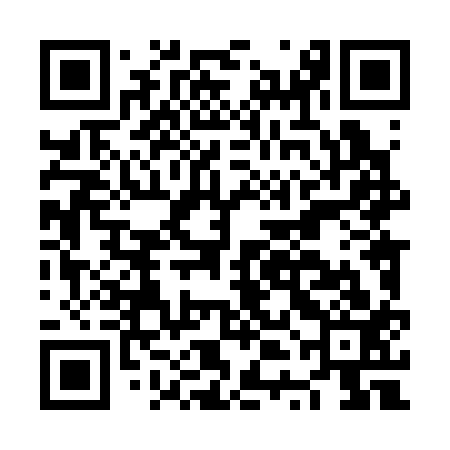 QR code for NTL313