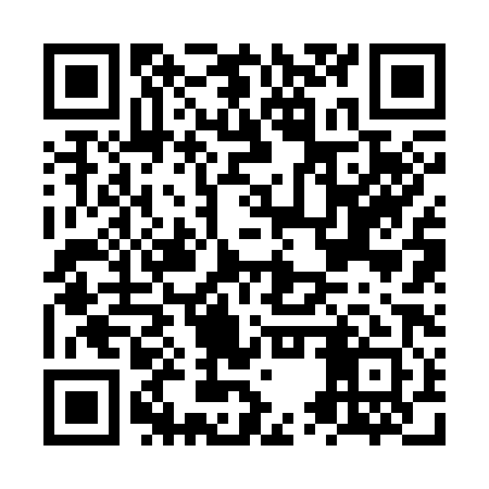 QR code for NUR381