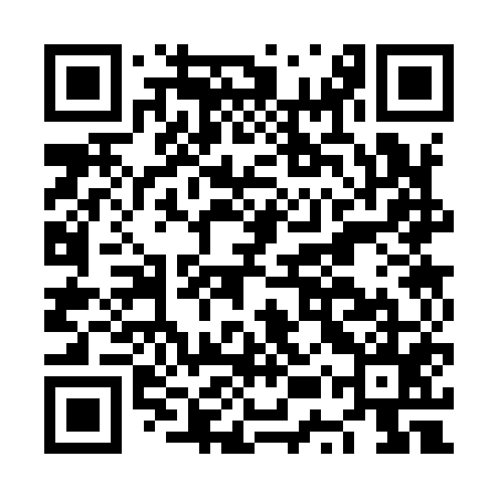 QR code for NUS955