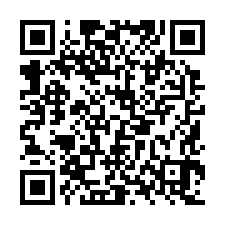 QR code for NXI383