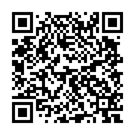 QR code for NXP413