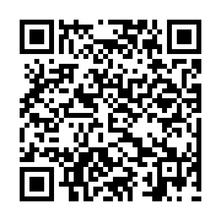 QR code for NYC741