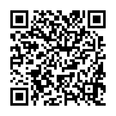 QR code for NYE294