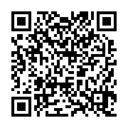 QR code for NYP234