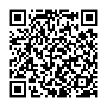 QR code for NYU729