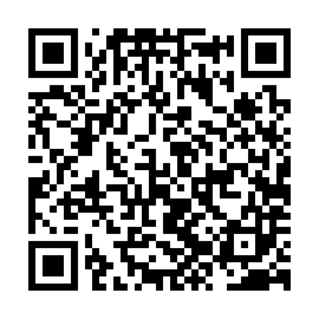 QR code for NZT383