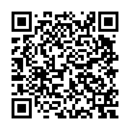 QR code for OBI411