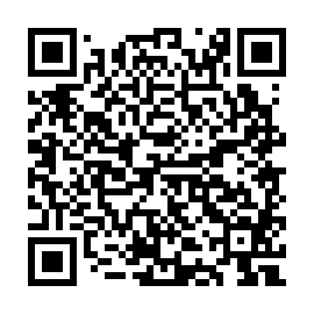 QR code for ODP384