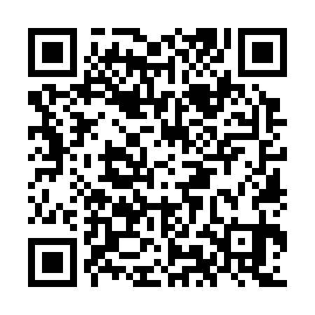 QR code for OMO331