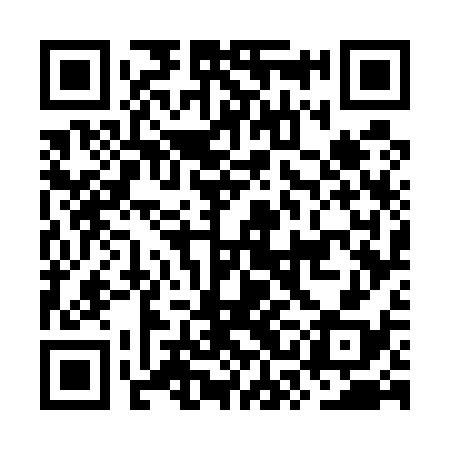 QR code for OSG538