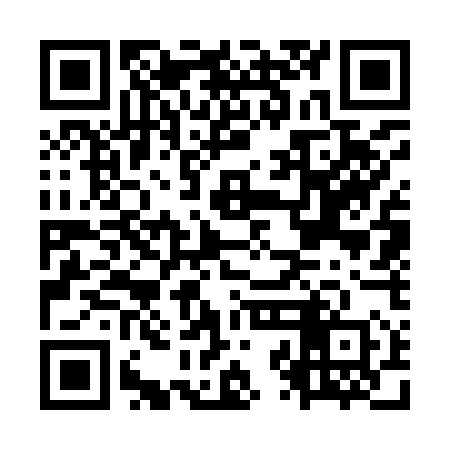 QR code for OZG950