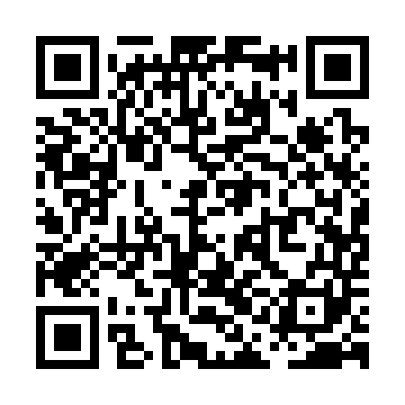 QR code for PAA341