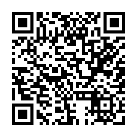 QR code for PAE979