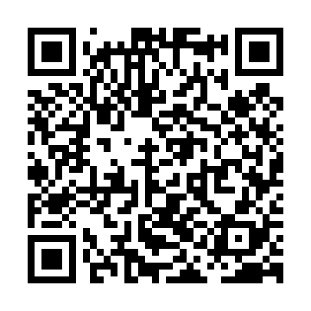 QR code for PAG428