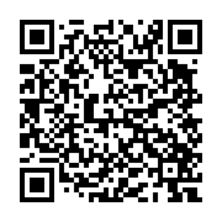 QR code for PAG447