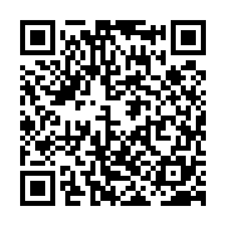 QR code for PAI575