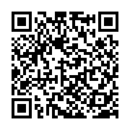 QR code for PAK338