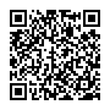 QR code for PAL637