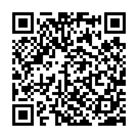 QR code for PAL650