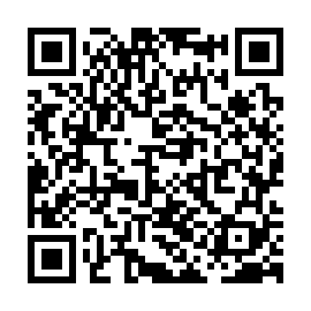 QR code for PAO369
