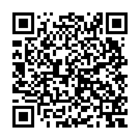 QR code for PAO613