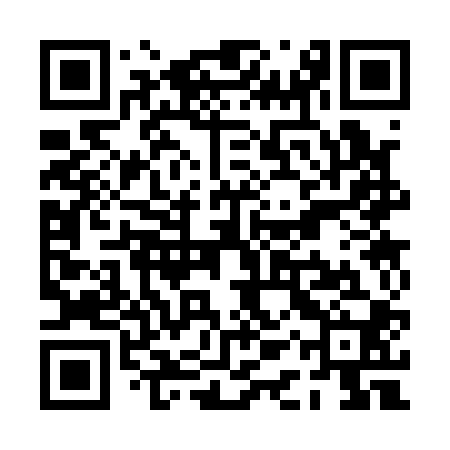 QR code for PAS100