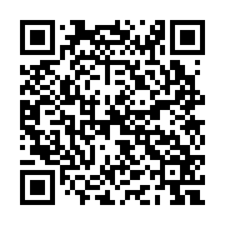 QR code for PAS366