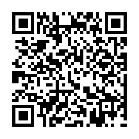 QR code for PAS389