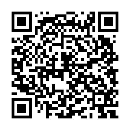 QR code for PAT616