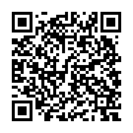 QR code for PAV603