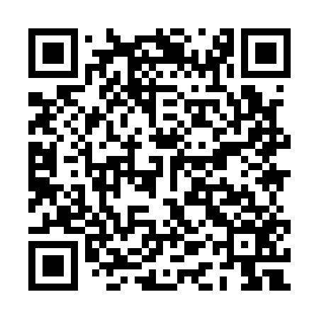 QR code for PAY156