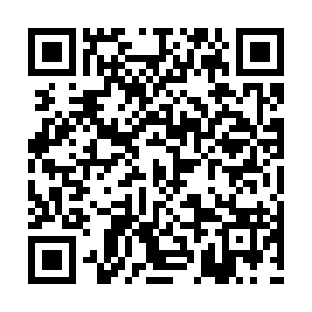 QR code for PBN393